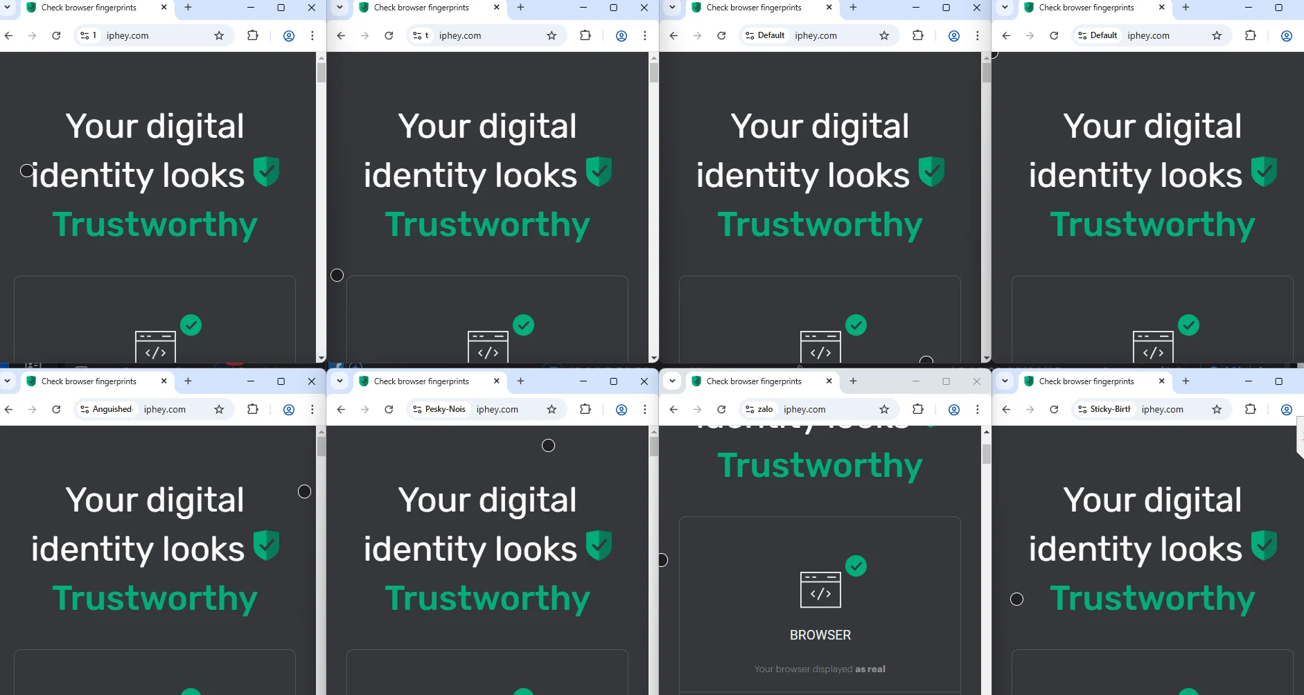 为什么通过 Iphey 测试很重要？